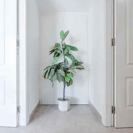 Jardines De Iii-6 By Interhome Apartment